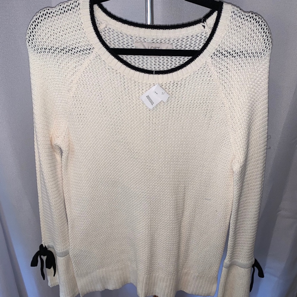 Sweater (Ann Taylor Loft)